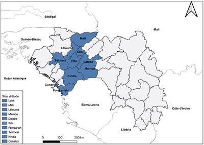 Improving access to and use of maternal health services during COVID-19: Experience from a health system strengthening project in Guinea